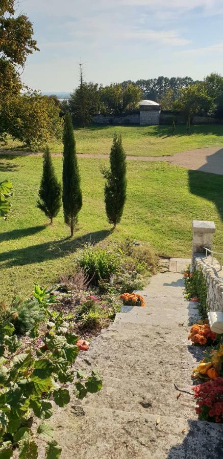 Domaine De Bourgville Monts-sur-Guesnes Ngoại thất bức ảnh