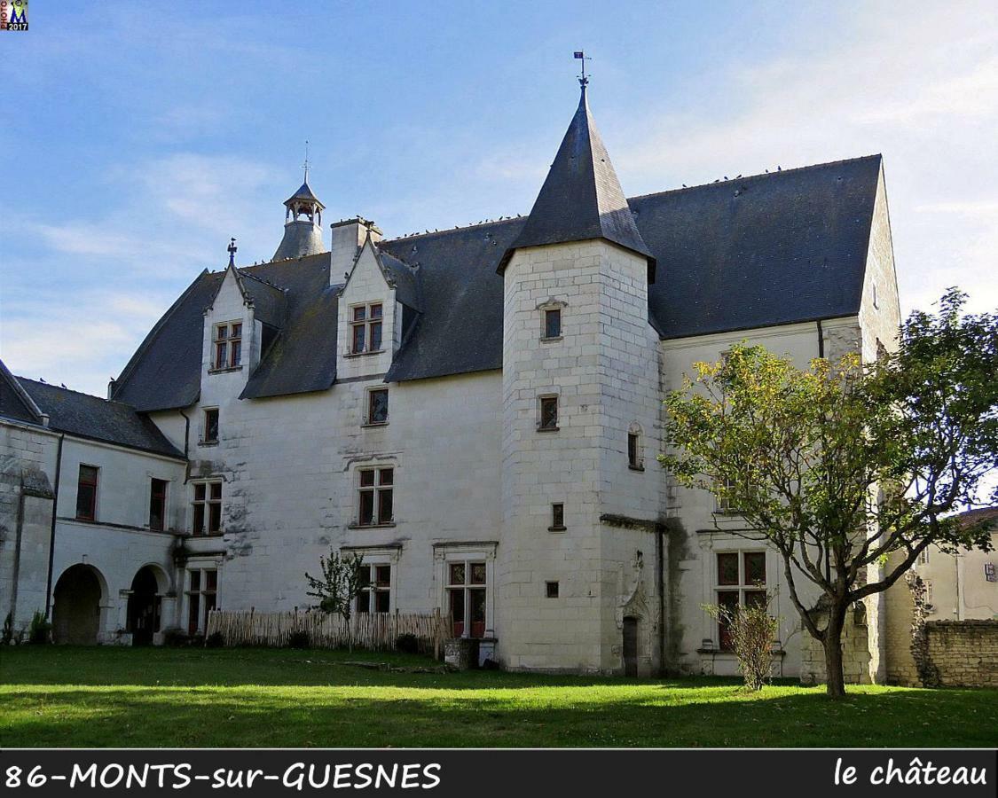 Domaine De Bourgville Monts-sur-Guesnes Ngoại thất bức ảnh